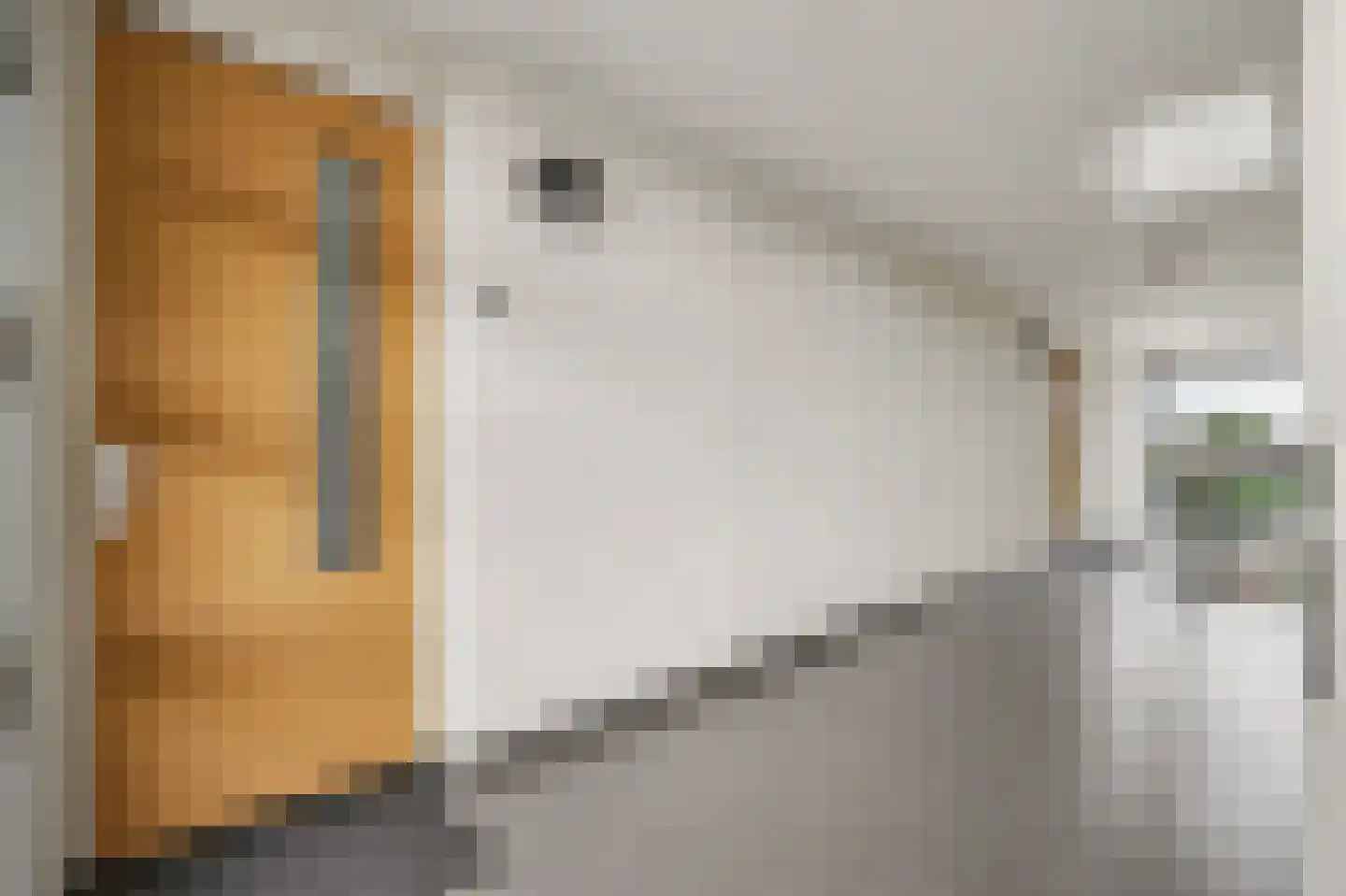 Poelruit 6 h Reeuwijk thumbnail 8