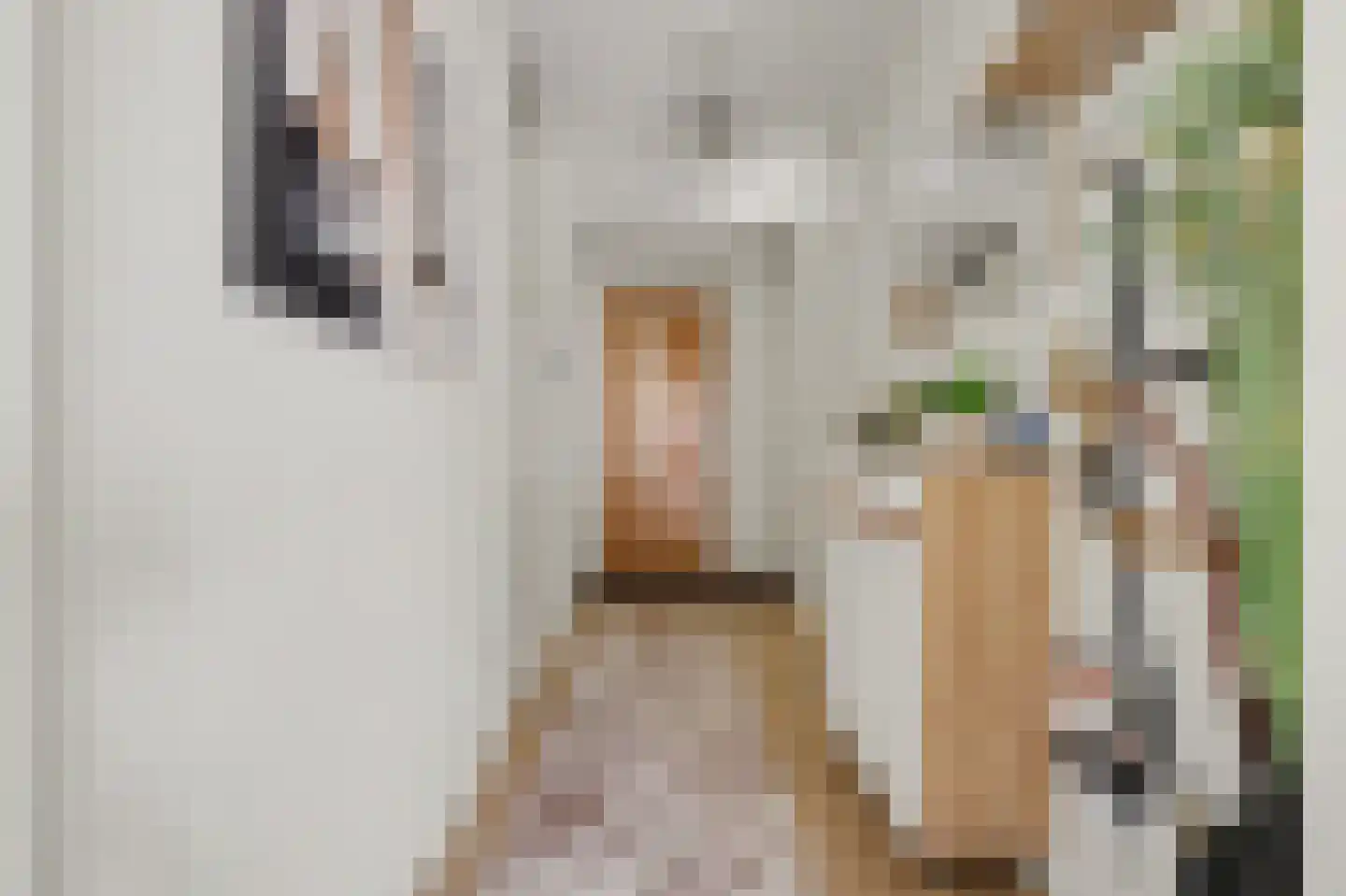 Poelruit 6 h Reeuwijk thumbnail 9