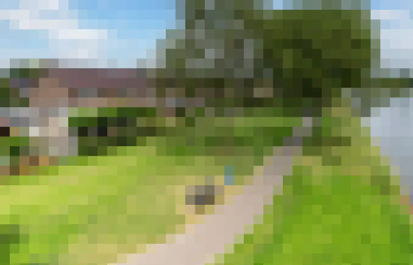 Poelruit 71 Leeuwarden thumbnail 24