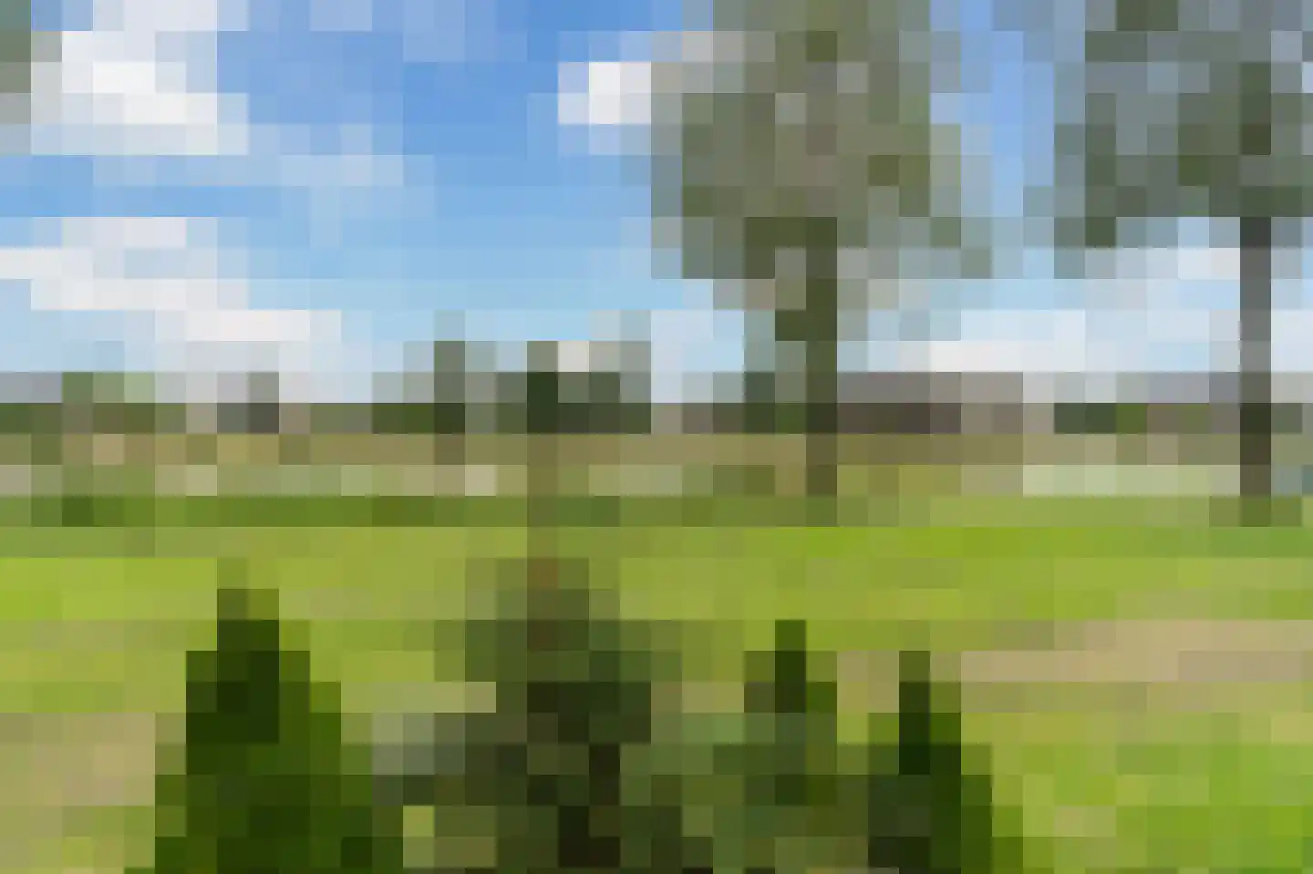 Poelruit 71 Leeuwarden thumbnail 42