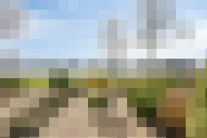 Poelruit 73 in Leeuwarden