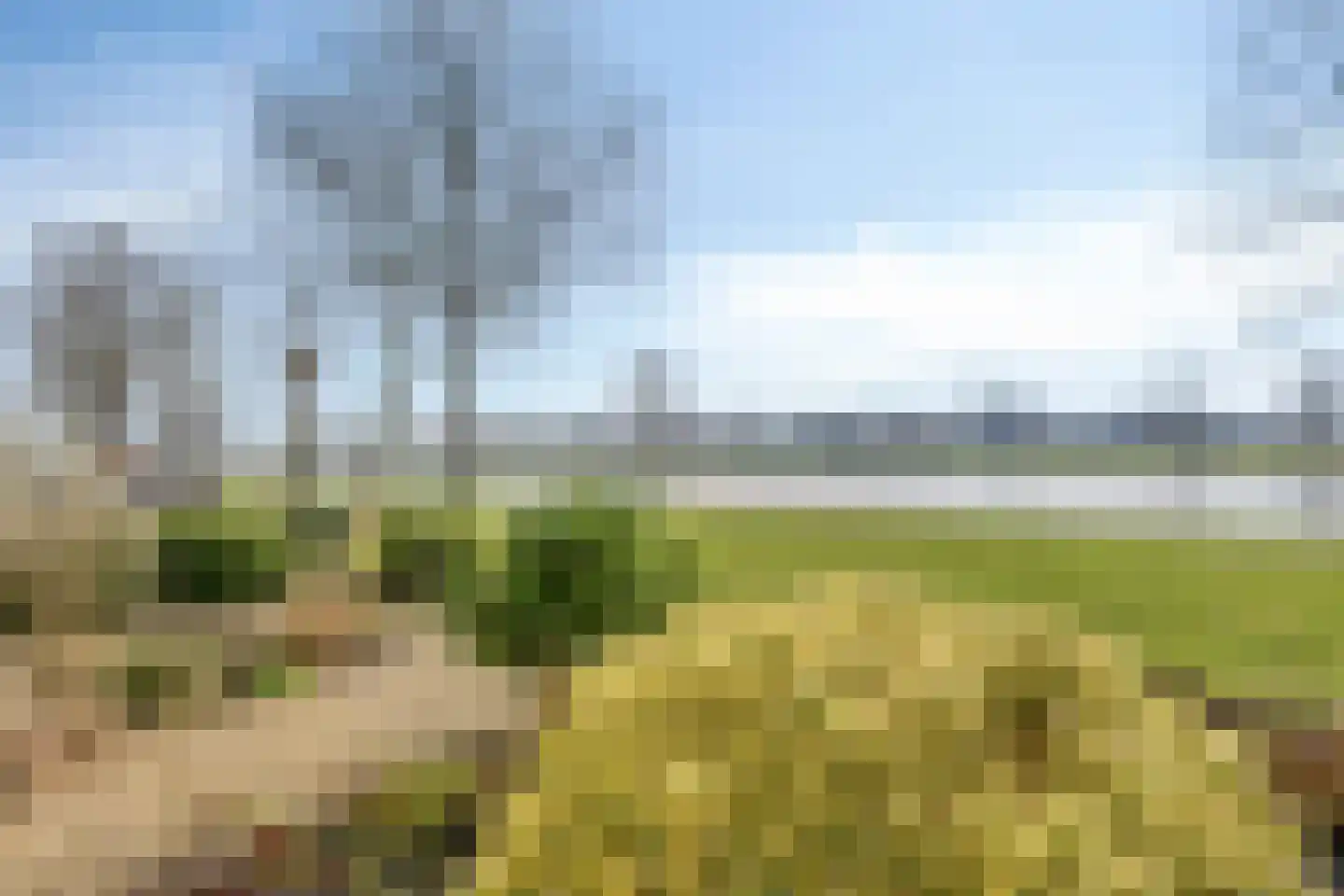 Poelruit 73 Leeuwarden thumbnail 36