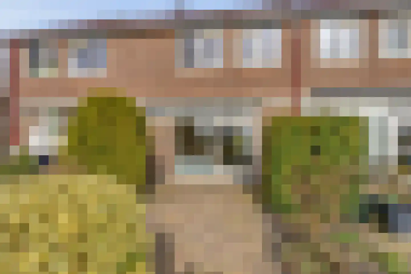 Poelruit 73 Leeuwarden thumbnail 37