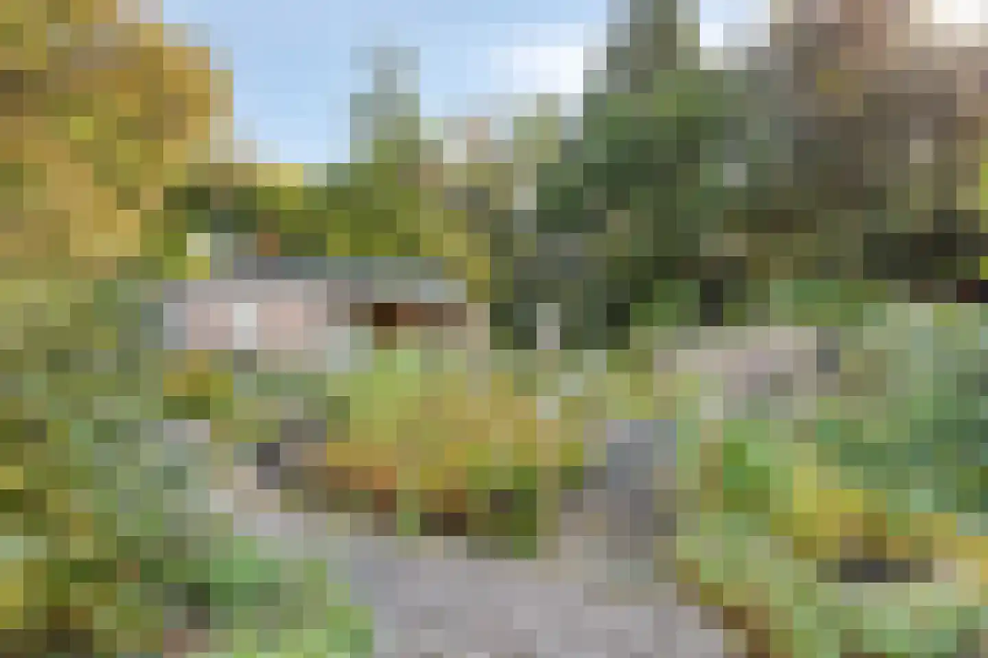 Poelruiter 45 Budel-Schoot thumbnail 44