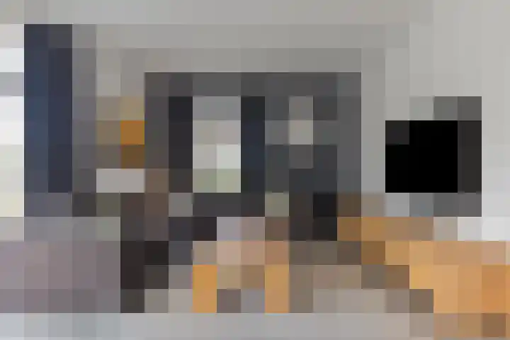 Poelruiter 57 Budel-Schoot thumbnail 4