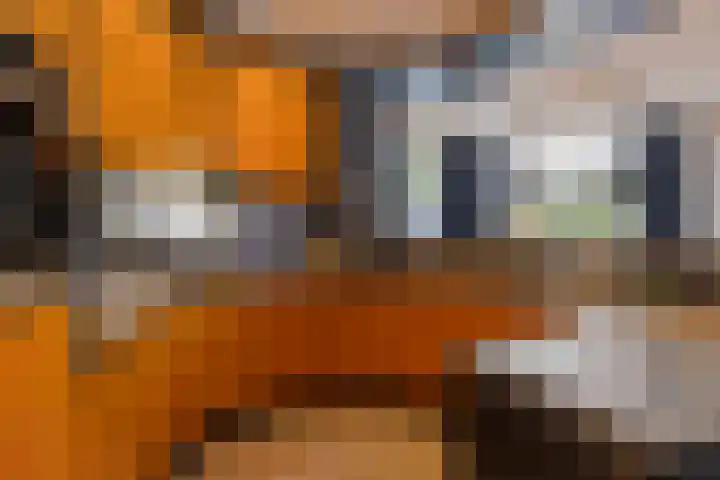 Poelruiter 57 Budel-Schoot thumbnail 7
