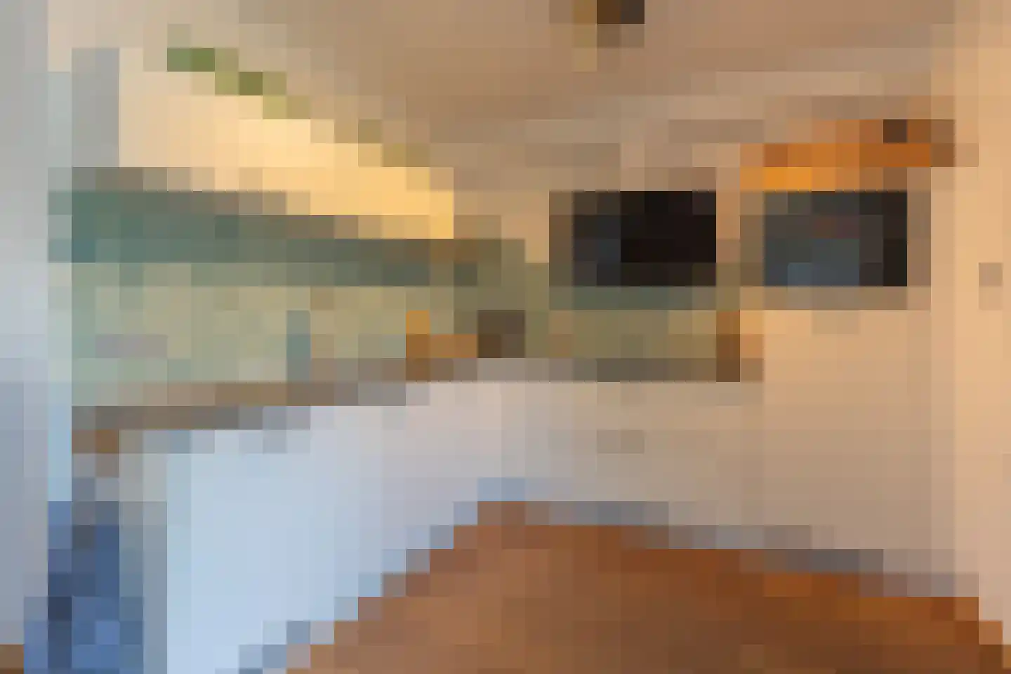 Poelruiterhof 1 Heinkenszand thumbnail 21