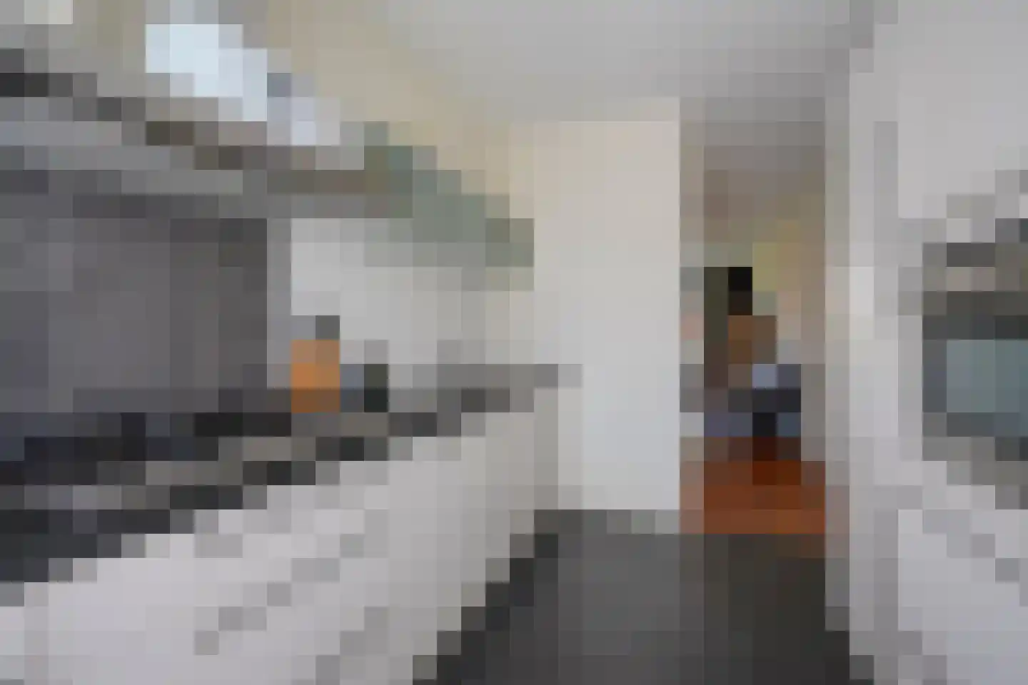 Poelruitlaan 33 Vleuten thumbnail 19