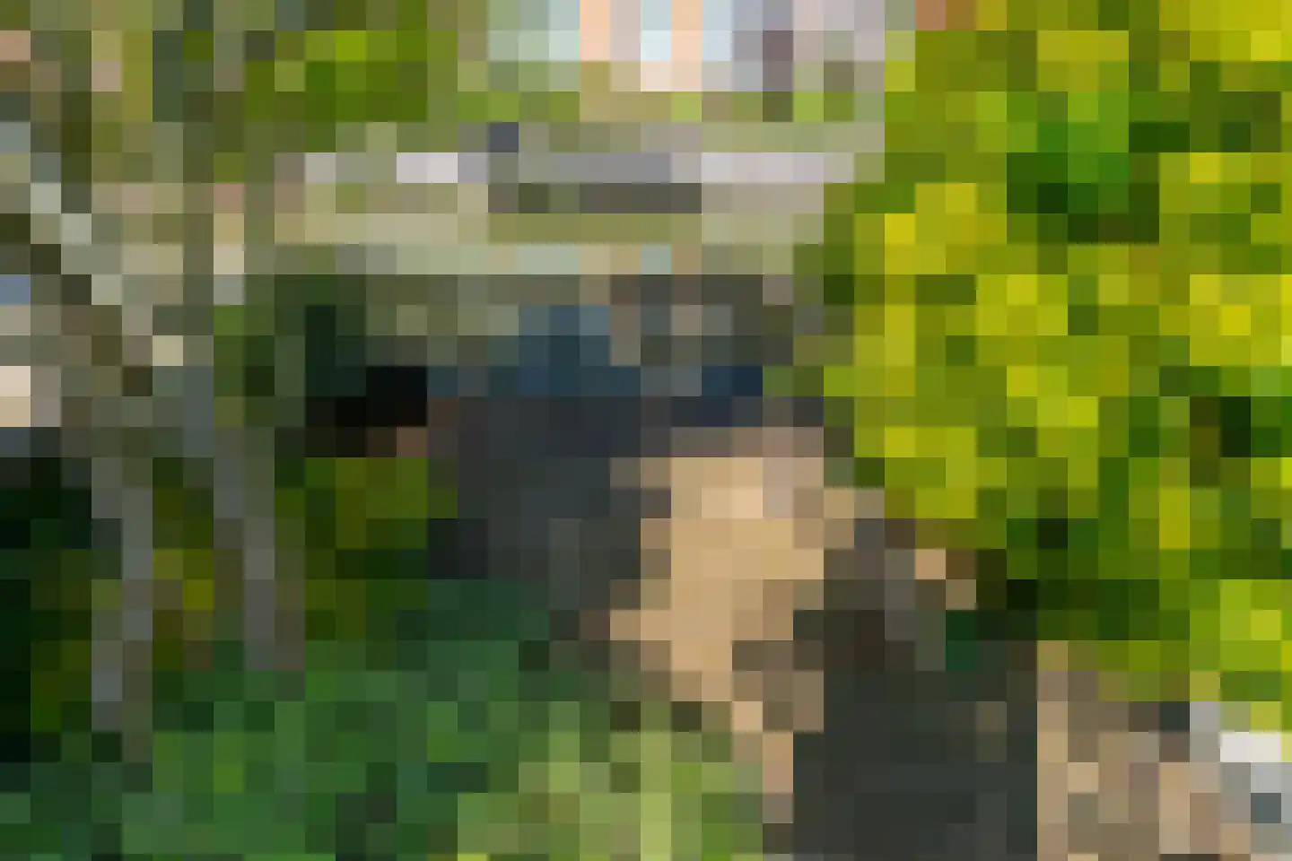 Poelruitlaan 33 Vleuten thumbnail 24