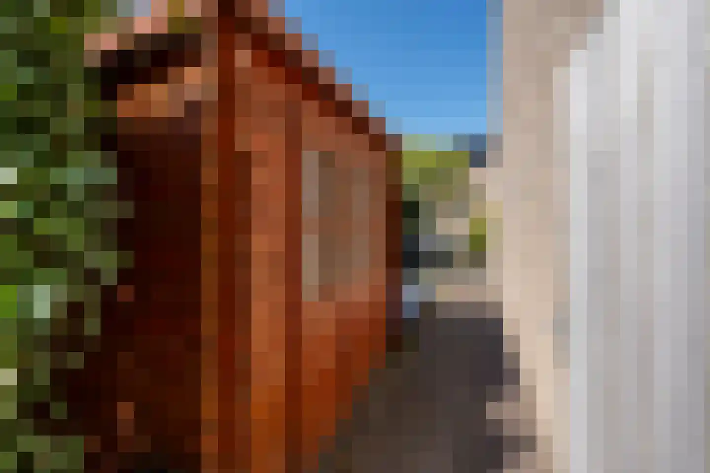 Poelruitlaan 33 Vleuten thumbnail 29