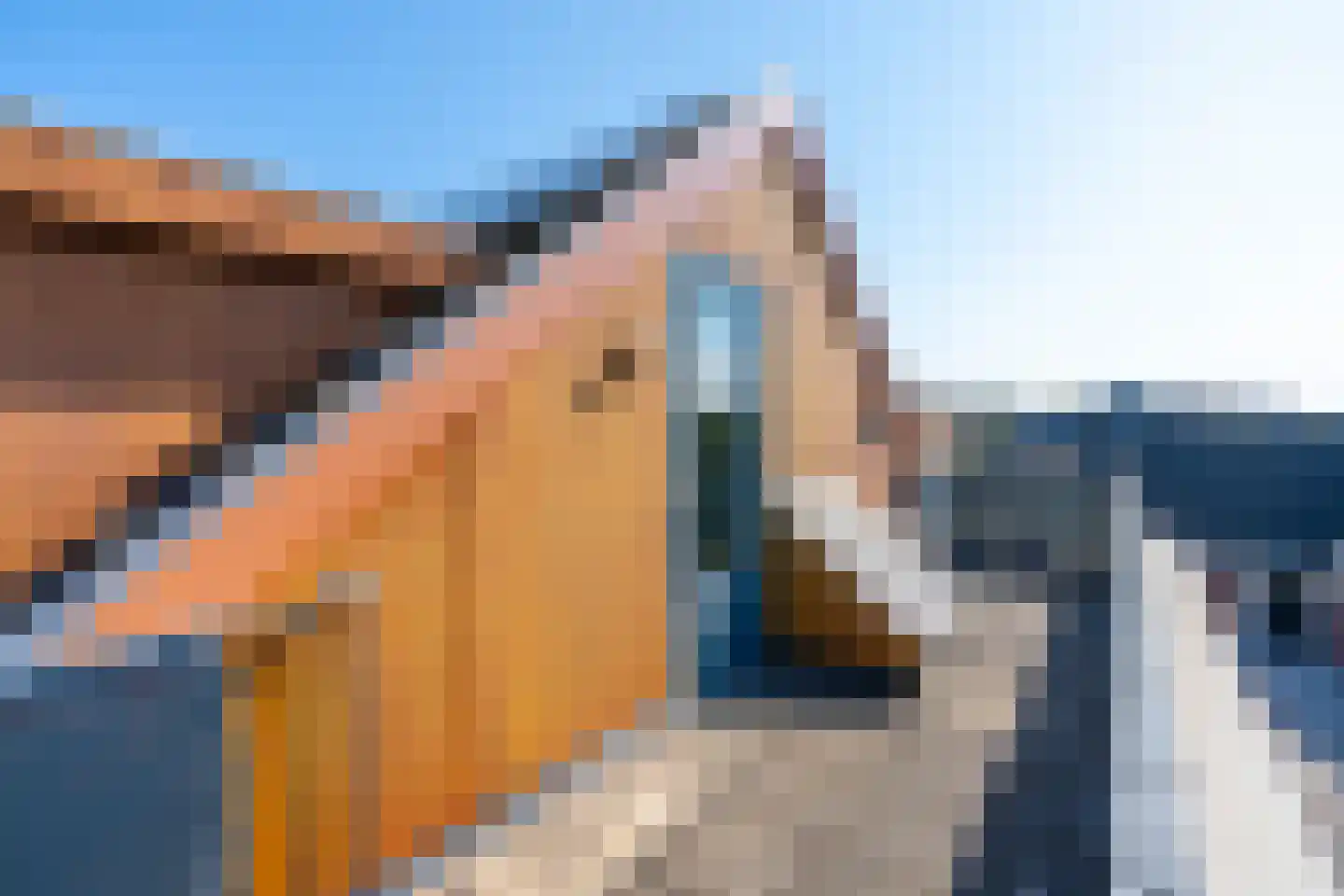 Poelruitlaan 33 Vleuten thumbnail 50