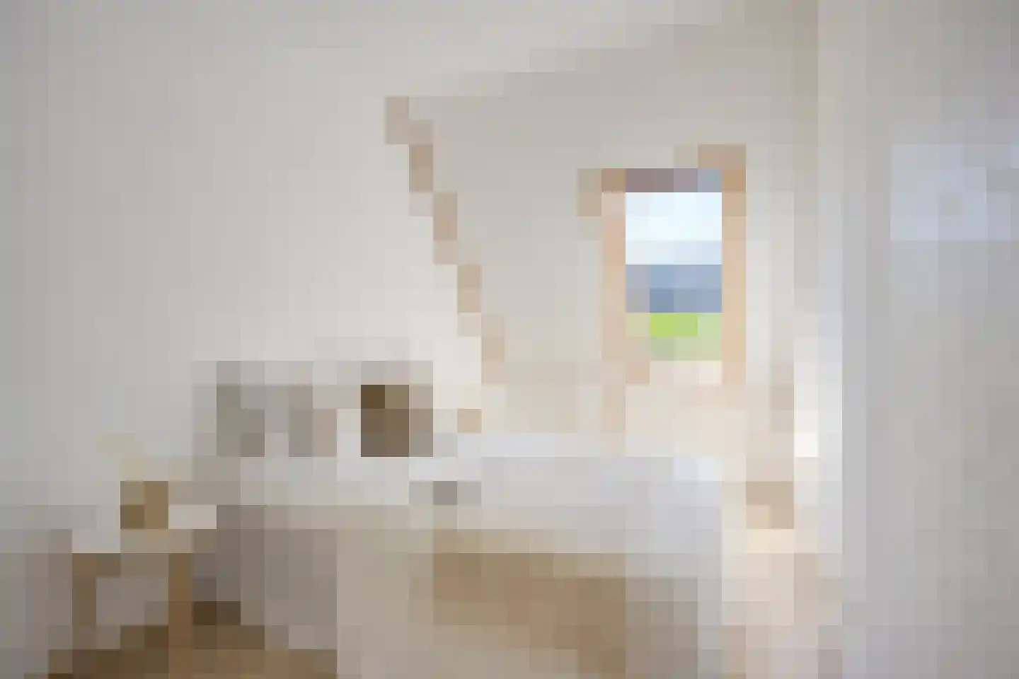 Poelruitlaan 5 Vleuten thumbnail 32