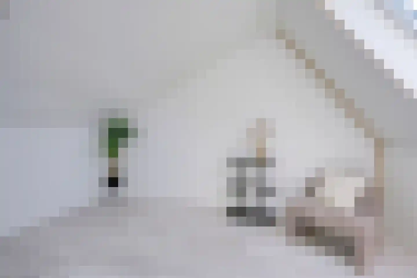 Poelruitlaan 5 Vleuten thumbnail 40