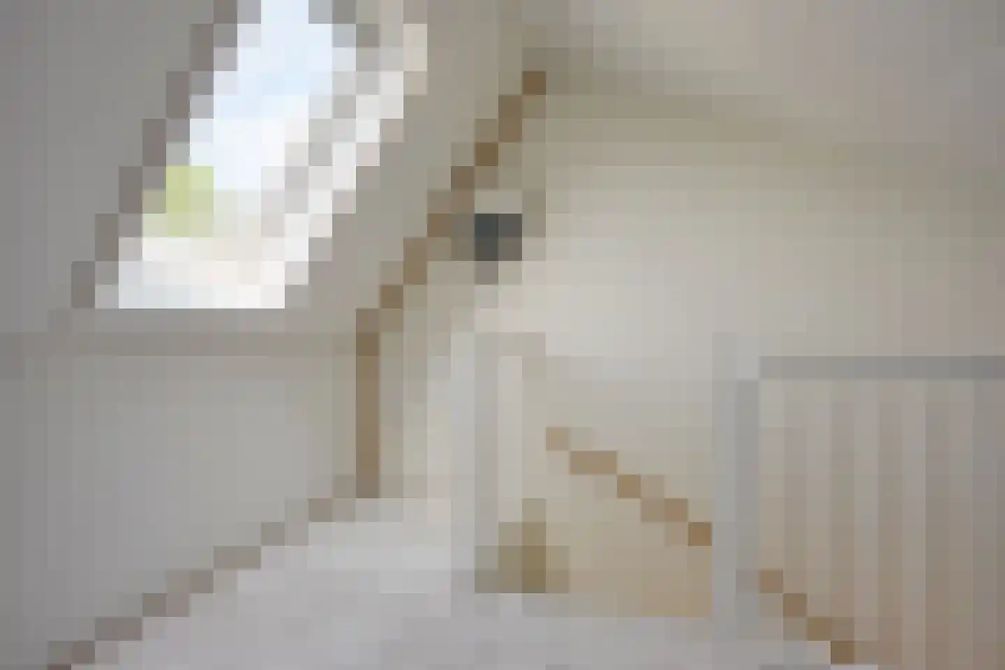 Poelruitlaan 5 Vleuten thumbnail 41