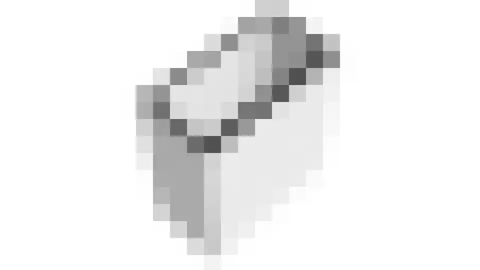 Poelruitlaan 5 Vleuten thumbnail 63