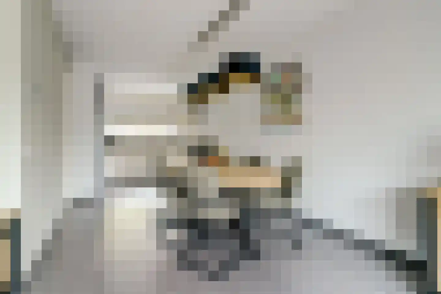 Poelruitstraat 20 Rosmalen thumbnail 10
