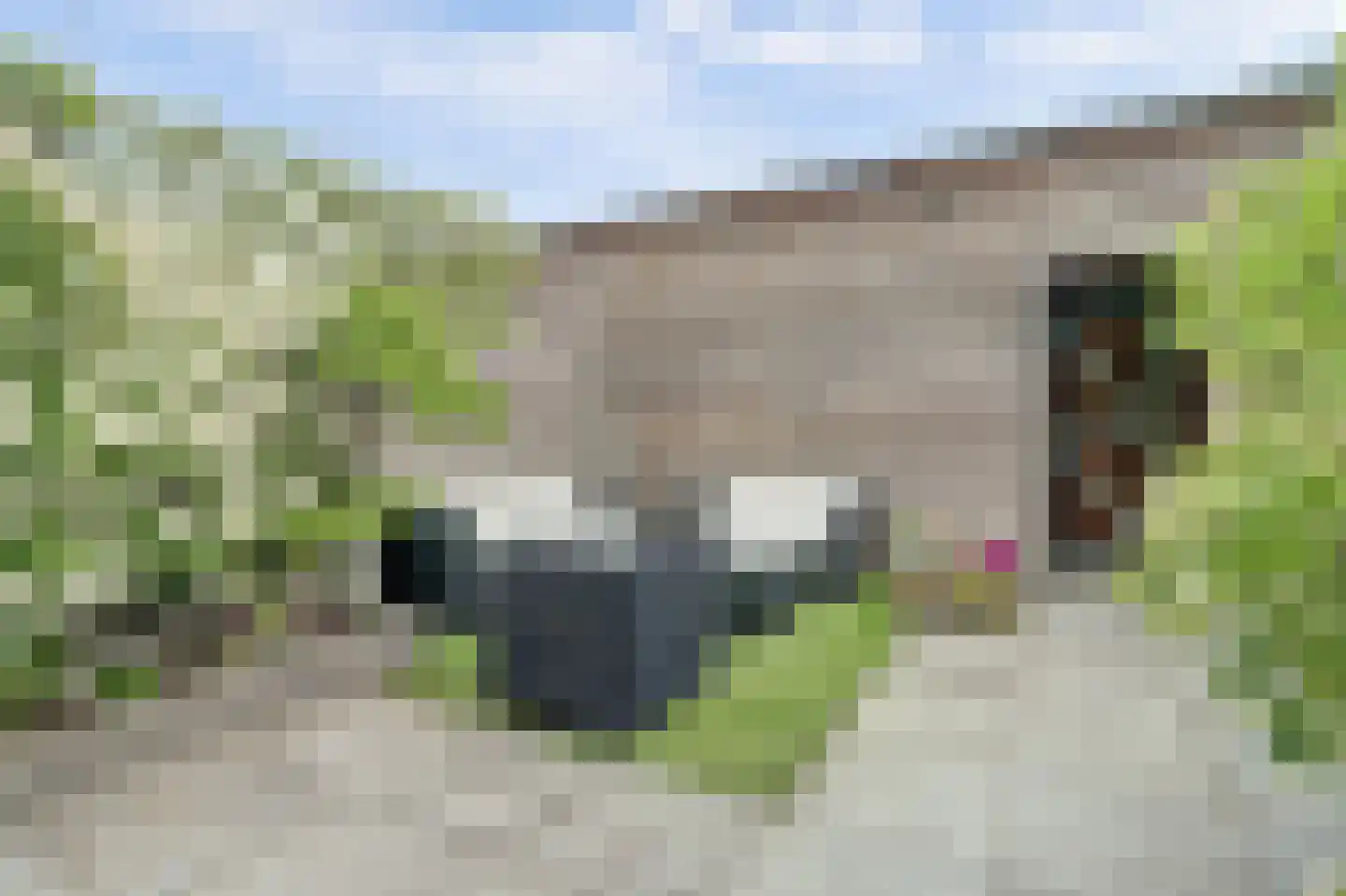 Poelruitstraat 20 Rosmalen thumbnail 29