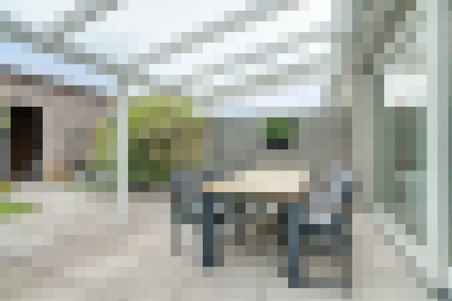 Poelruitstraat 20 Rosmalen thumbnail 30