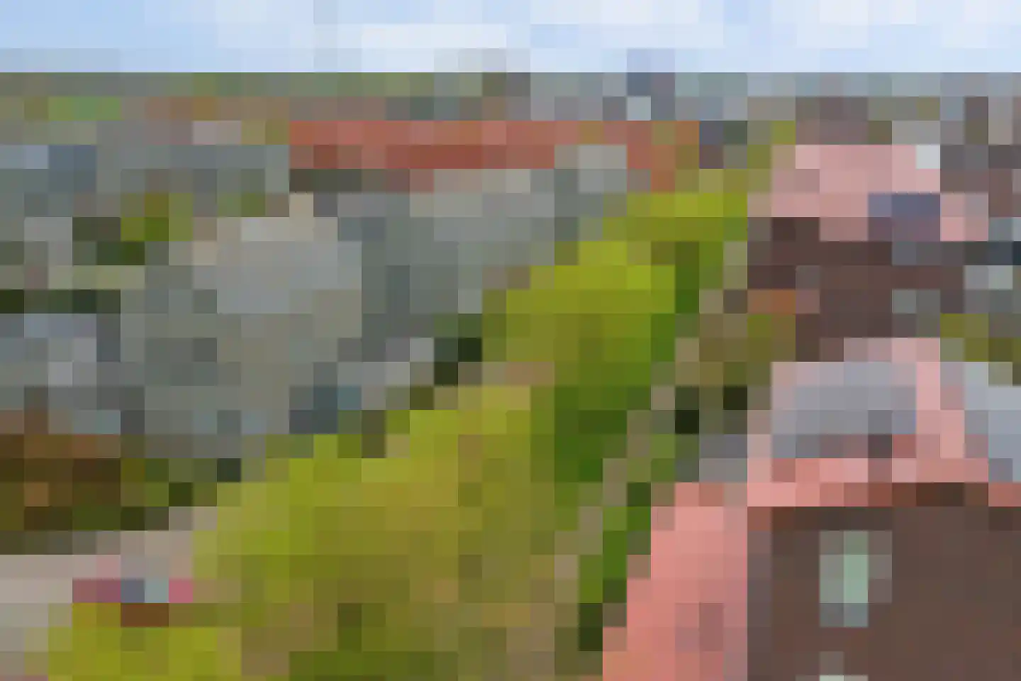 Poelruitstraat 20 Rosmalen thumbnail 38