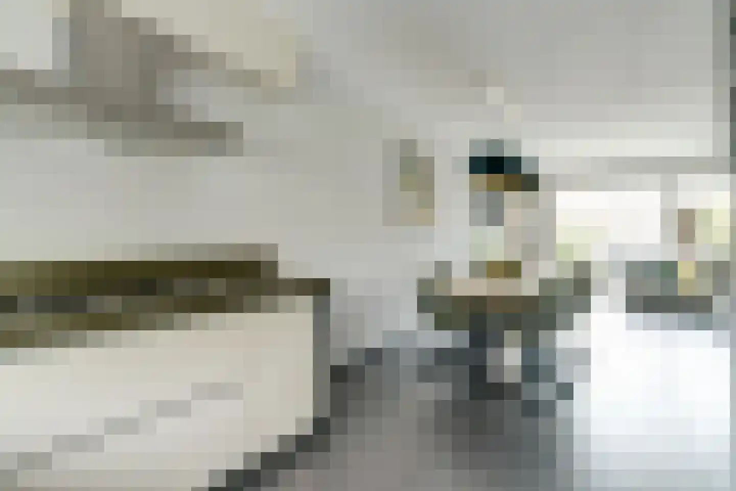 Poelruitstraat 20 Rosmalen thumbnail 8