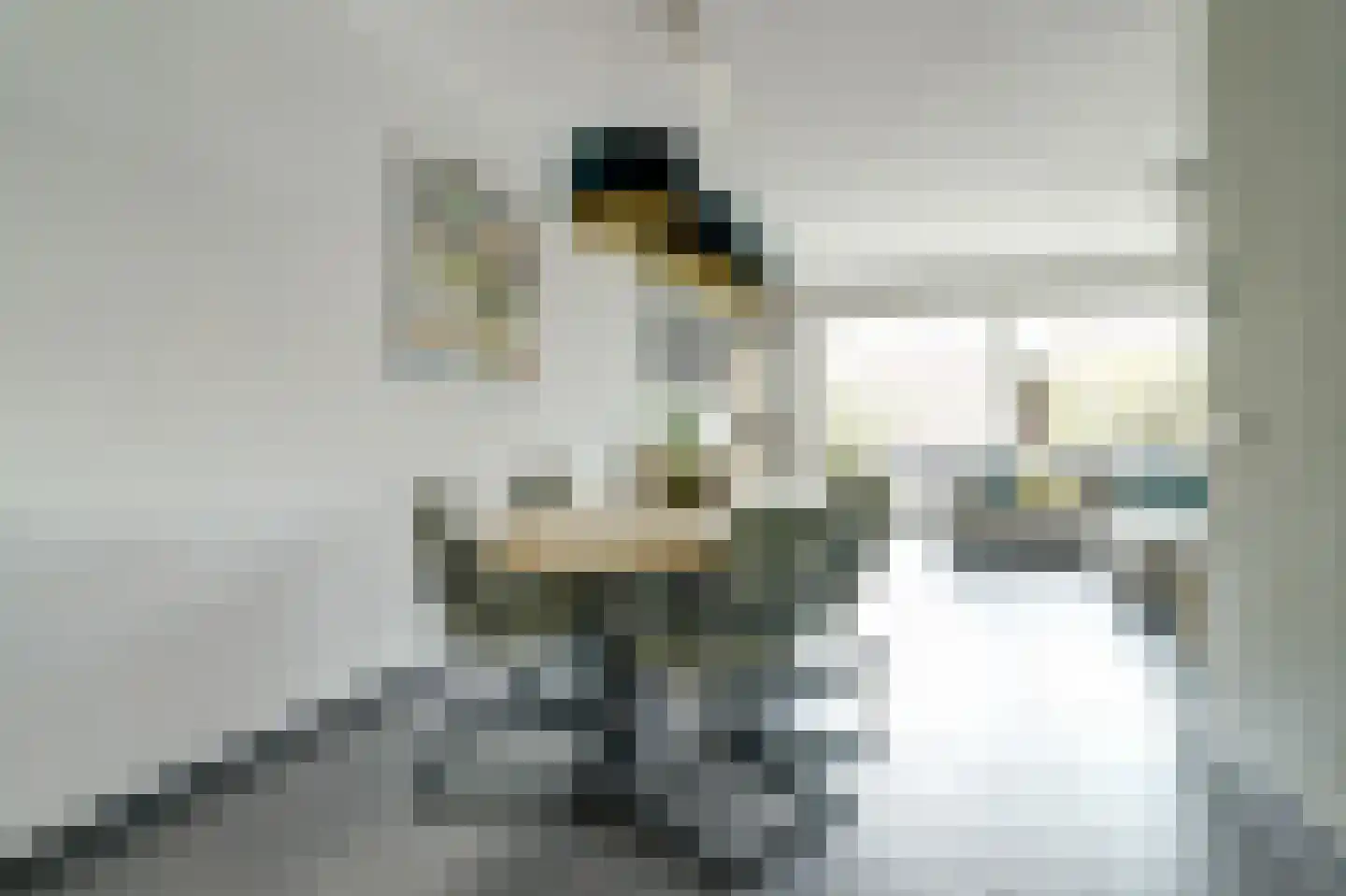 Poelruitstraat 20 Rosmalen thumbnail 9