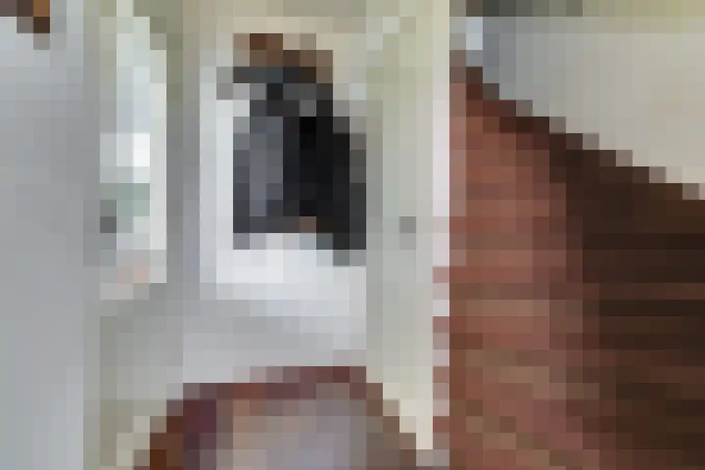 Poelruitstraat 20 Waalwijk thumbnail 14