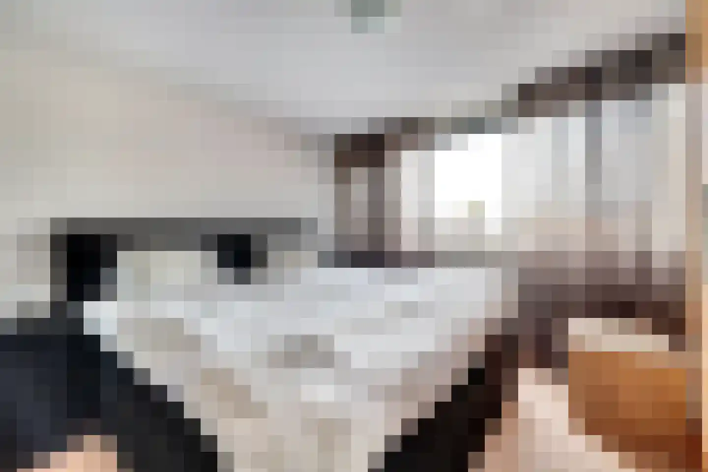 Poelruitstraat 20 Waalwijk thumbnail 17