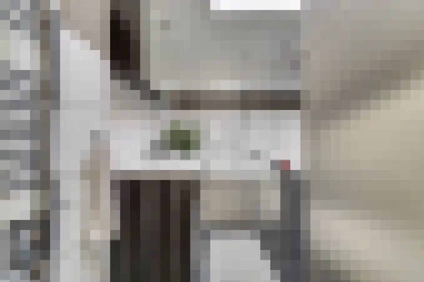 Poelruitstraat 20 Waalwijk thumbnail 21
