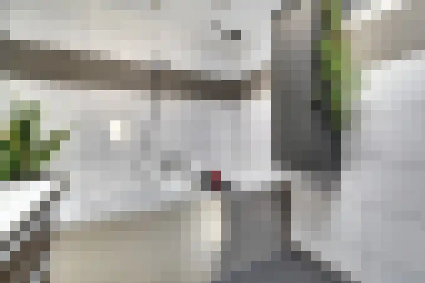 Poelruitstraat 20 Waalwijk thumbnail 22