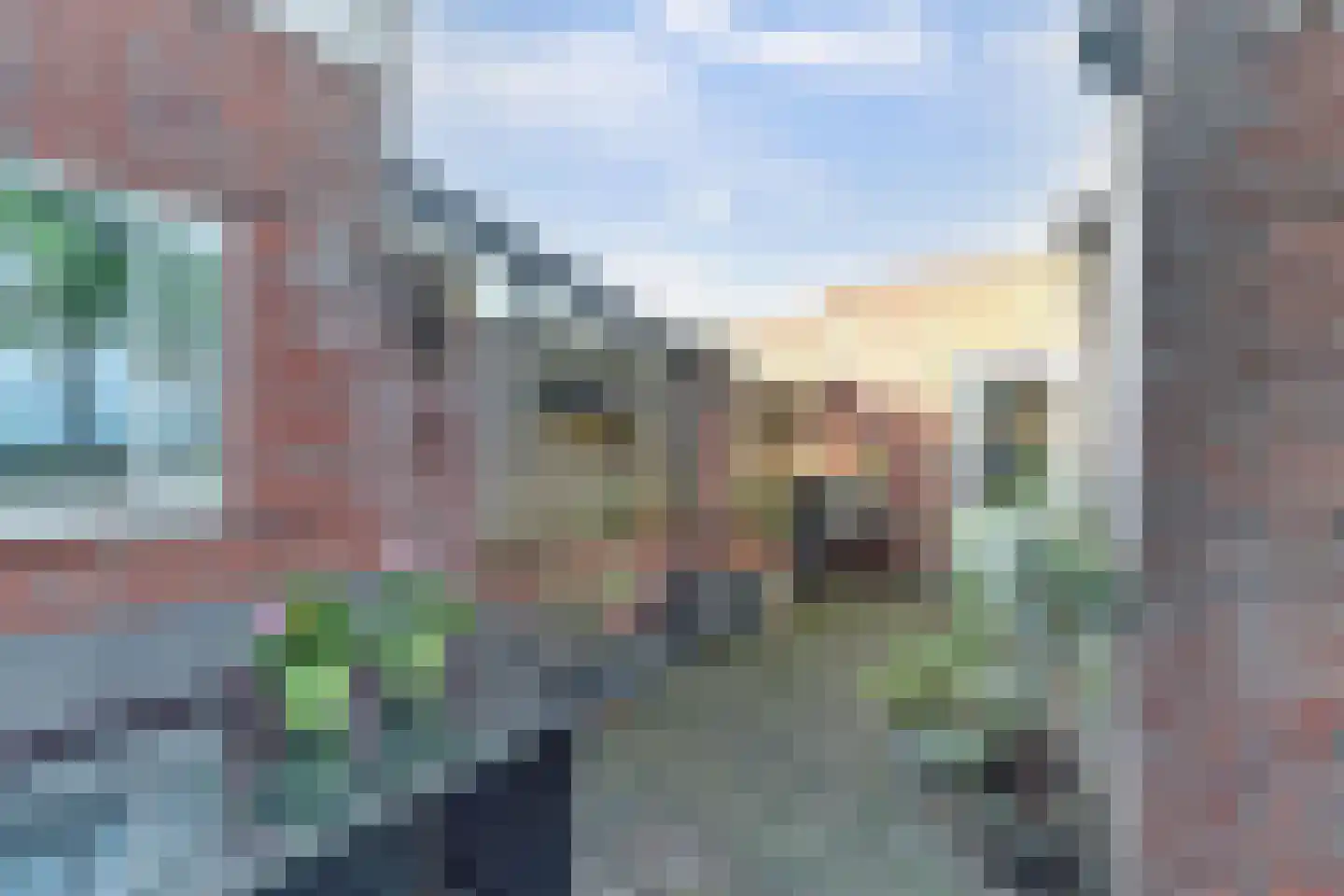Poelruitstraat 20 Waalwijk thumbnail 27