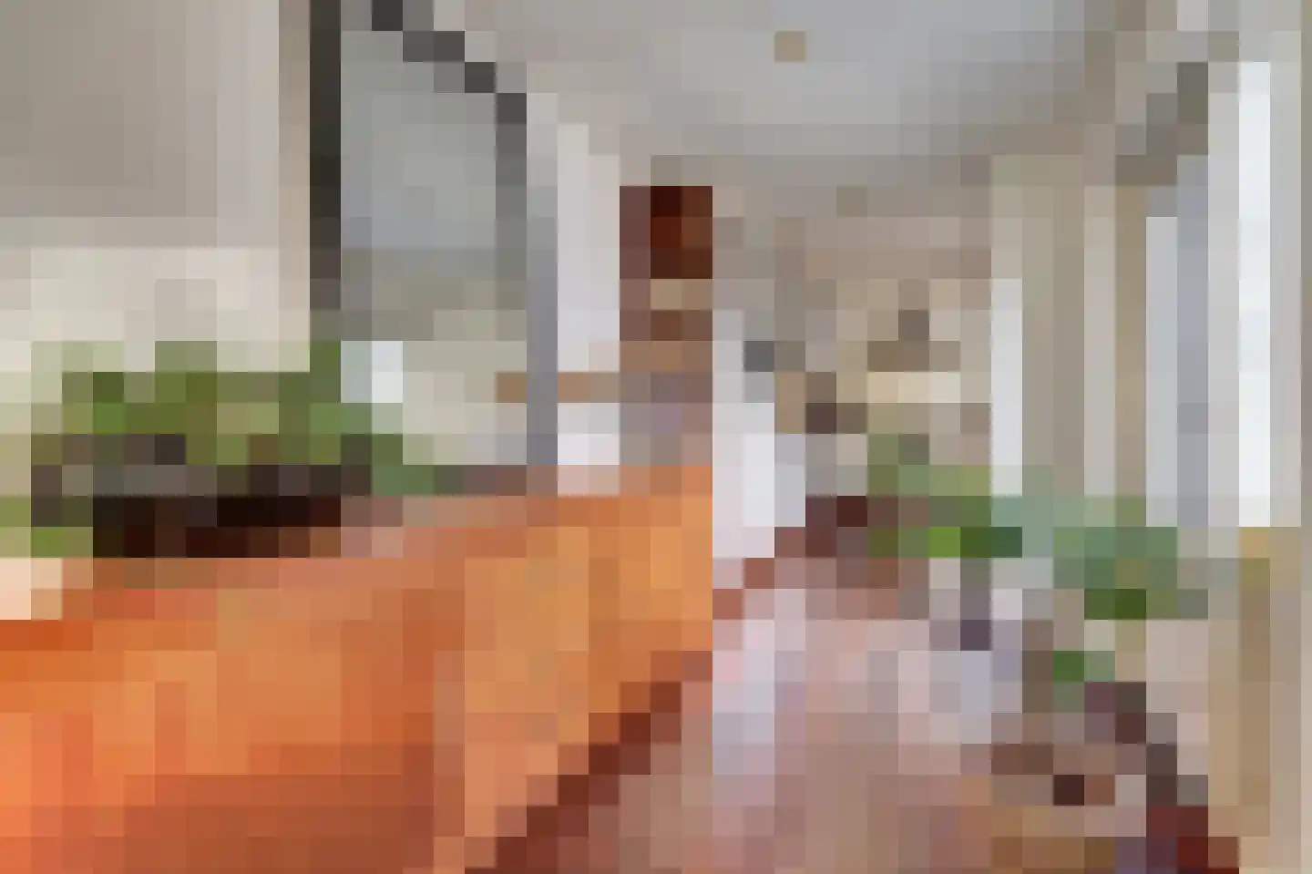 Poelruitstraat 20 Waalwijk thumbnail 9