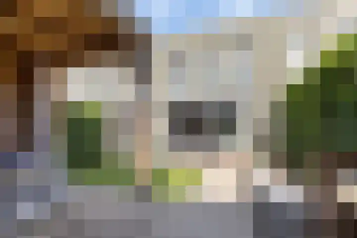 Poelruitstraat 26 Rosmalen thumbnail 16