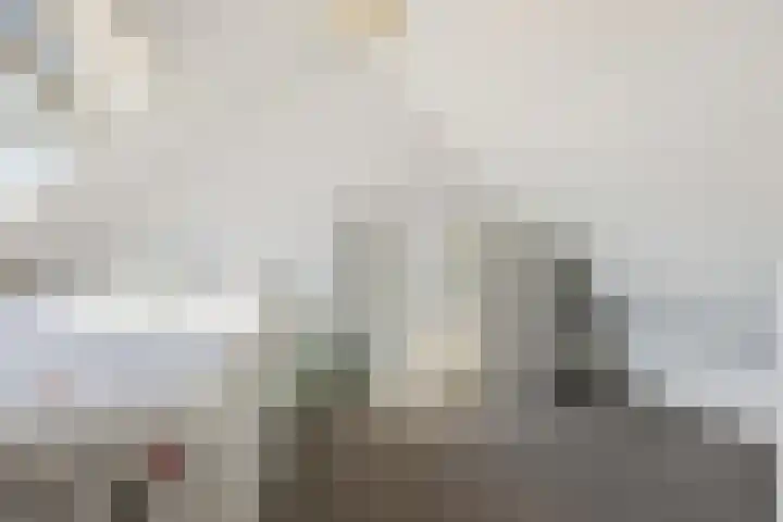 Poelruitstraat 26 Rosmalen thumbnail 30