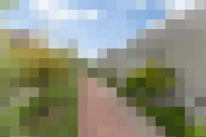 Poelruitstraat 26 Rosmalen thumbnail 32