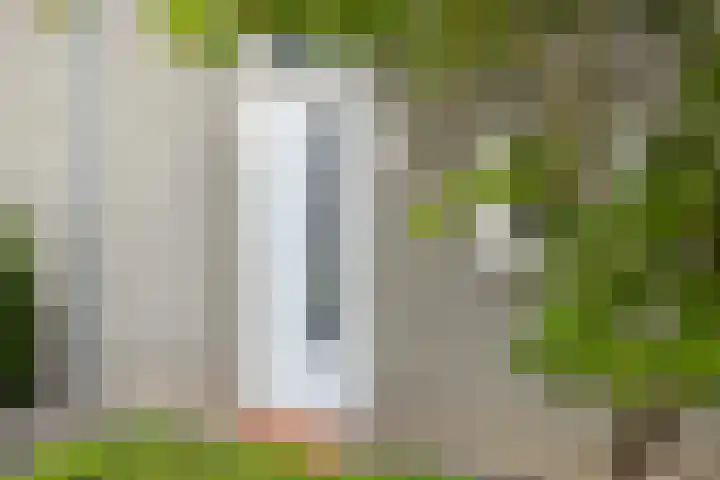 Poelruitstraat 26 Rosmalen thumbnail 33