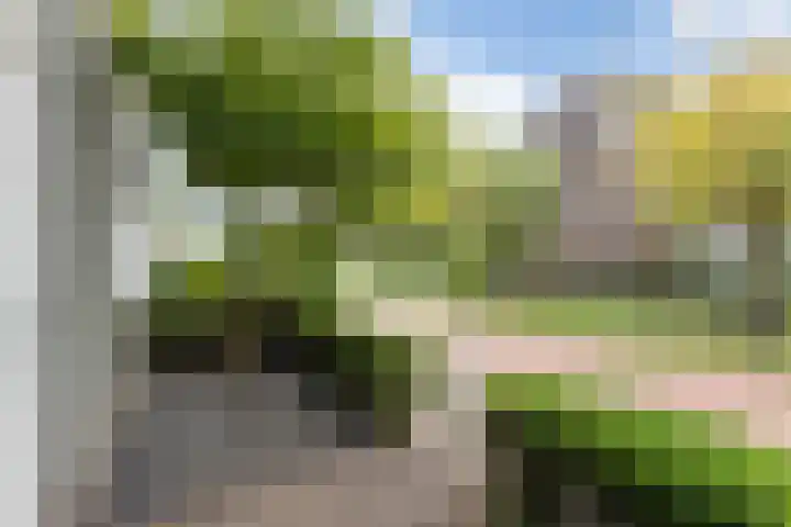Poelruitstraat 26 Rosmalen thumbnail 34
