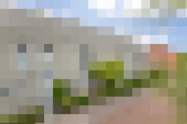Poelruitstraat 26 Rosmalen thumbnail 35