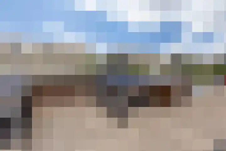 Poelruitstraat 26 Rosmalen thumbnail 38