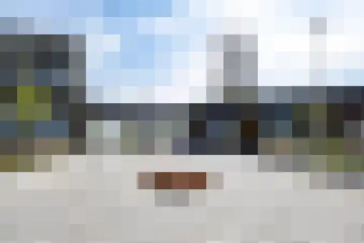 Poelruitstraat 26 Rosmalen thumbnail 40