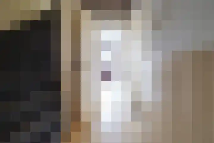 Poelruitstraat 3 Waalwijk thumbnail 10