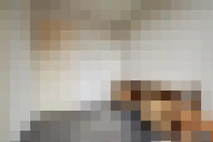 Poelruitstraat 3 Waalwijk thumbnail 18