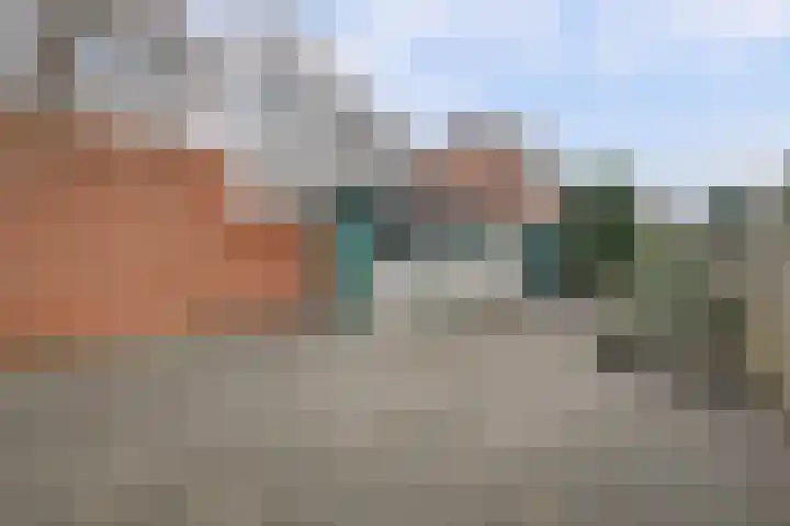 Poelruitstraat 3 Waalwijk thumbnail 24