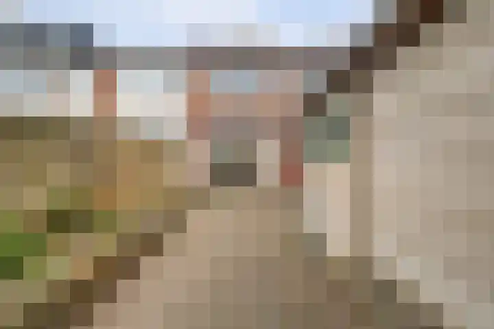 Poelruitstraat 3 Waalwijk thumbnail 25