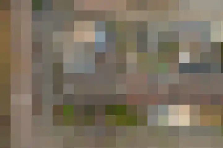 Poelruitstraat 3 Waalwijk thumbnail 29