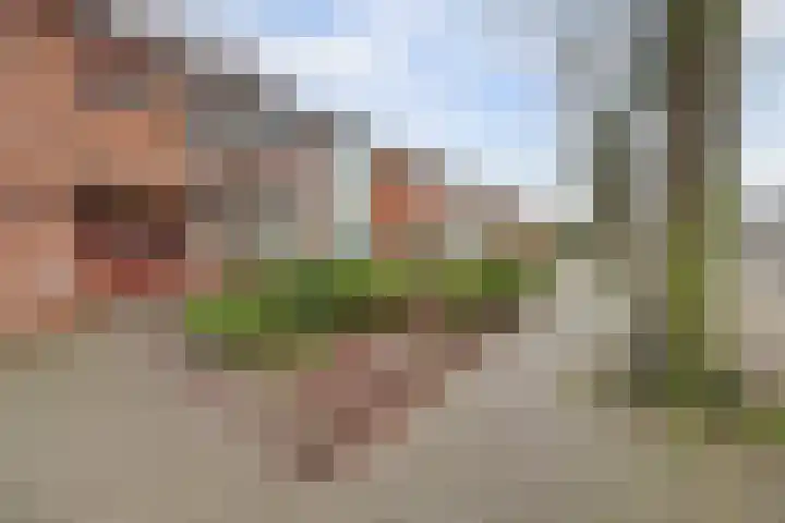 Poelruitstraat 3 Waalwijk thumbnail 30