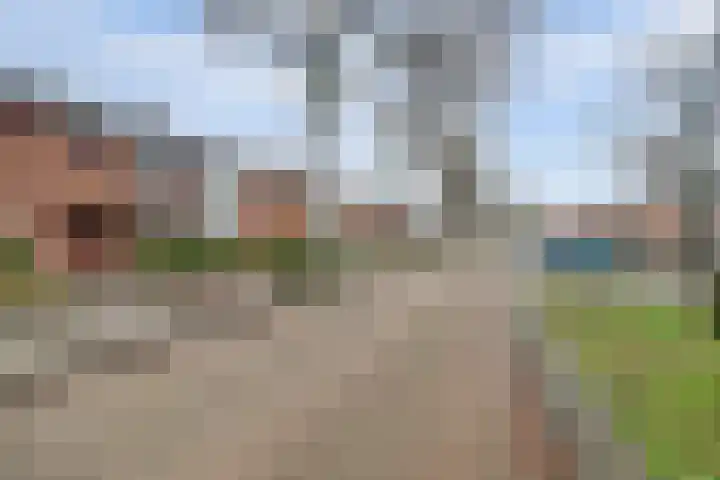 Poelruitstraat 3 Waalwijk thumbnail 32