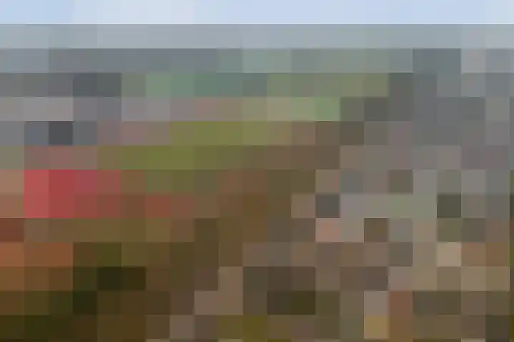 Poelruitstraat 3 Waalwijk thumbnail 34