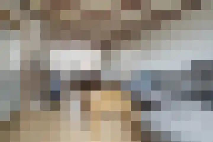 Poelruitstraat 3 Waalwijk thumbnail 5