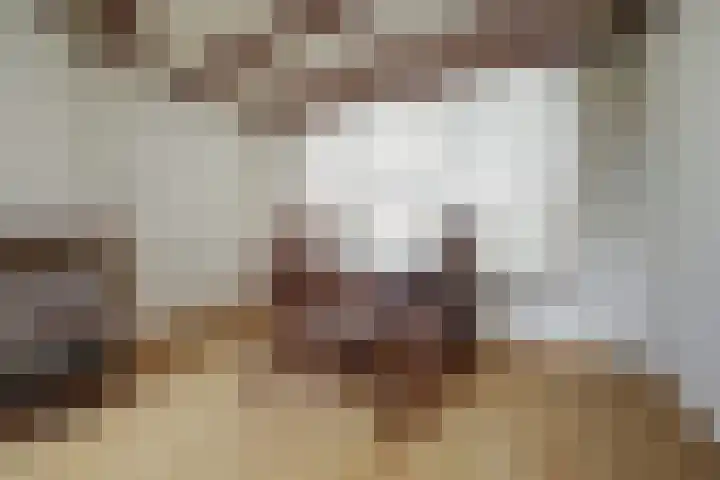 Poelruitstraat 3 Waalwijk thumbnail 6