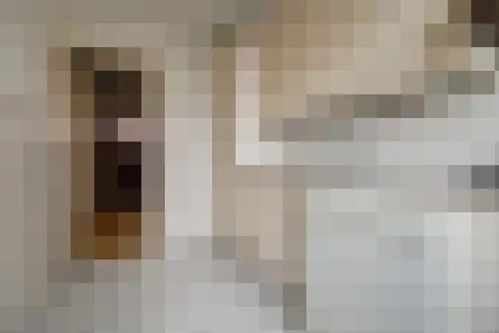 Poelruitstraat 3 Waalwijk thumbnail 9
